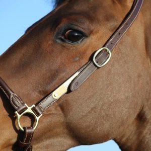 Cabezada cuero grooming Kentucky