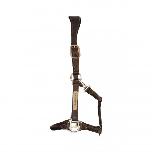 cabezada cuero anatomica kentucky