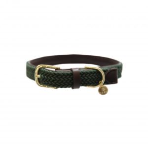 collar nylon trenzado kentucky