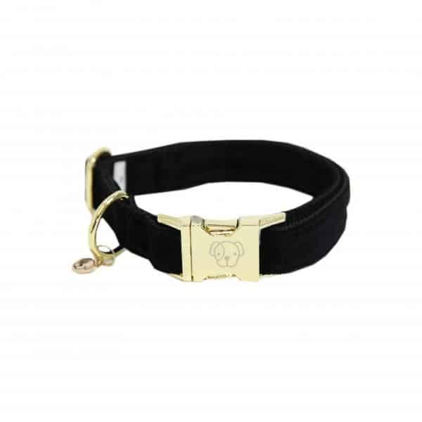 Collar de corderoy para perros Kentucky - Imagen 5