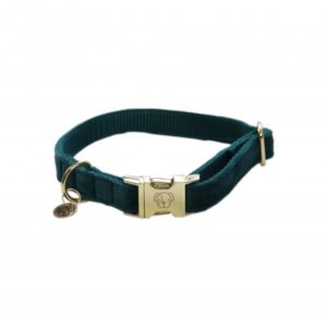 Collar Para perros Velvet Kentucky