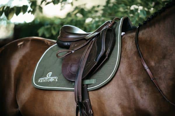 mantilla edicion color kentucky