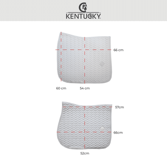 Mantilla Fishbone Salto Kentucky competición - Imagen 3