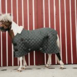 Manta de cuadra KENTUCKY Pony