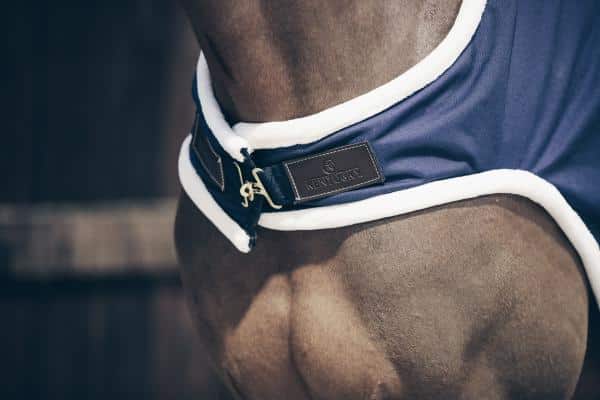 Manta para caminar impermeable Kentucky - Imagen 3