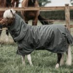 Manta Exterior Kentucky 160 gr Pony