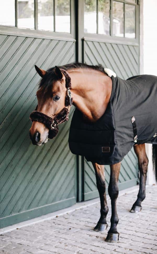 Babero de verano Kentucky - Imagen 2