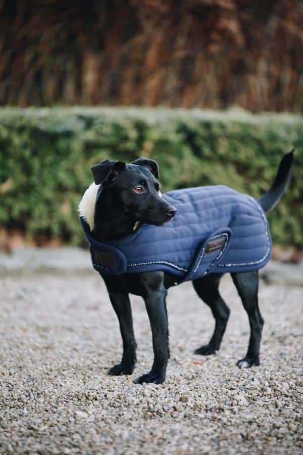 Manta para perros con Perlas Kentucky - Imagen 3