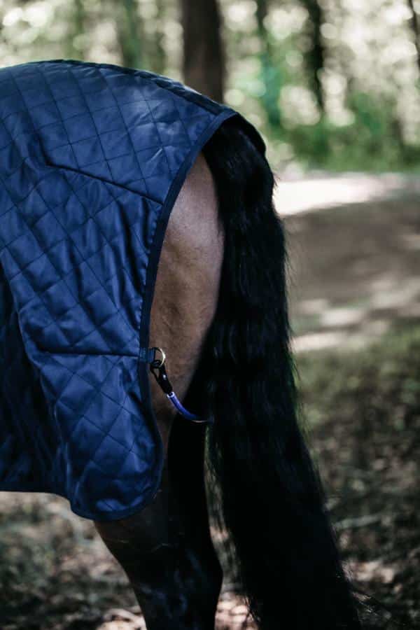 Manta de Box Liviana Kentucky - Imagen 3