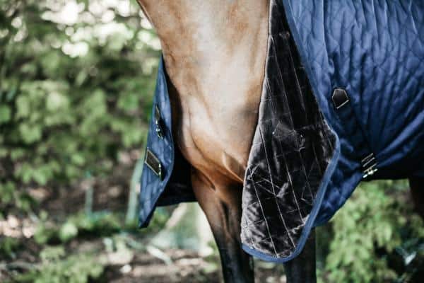 Manta de Box Liviana Kentucky - Imagen 5