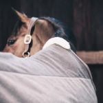 manta polar gris kentucky