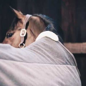 manta polar gris kentucky