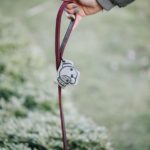 Guarda bolsas kentucky