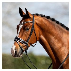 cabezada anky ATH 15012