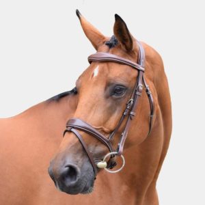 cabezada one bruselas jumpin