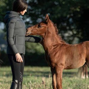 Chaqueta de mujer de plumon con gorro y cremallera Cavaleria Toscana