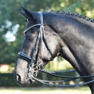 cabezada busse jump' in