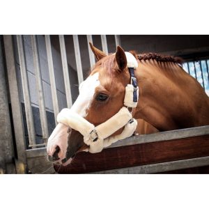 cabezada licol soft jump´in