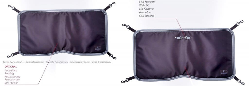 puerta de box anna scarpati