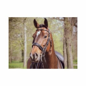 cabezada doble rienda Jumpin