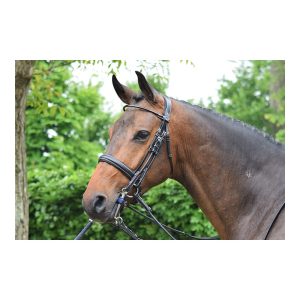 cabezada vernie jumpín