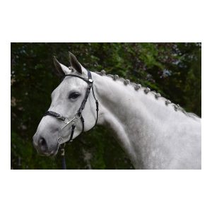 cabezada hackamore jump´in