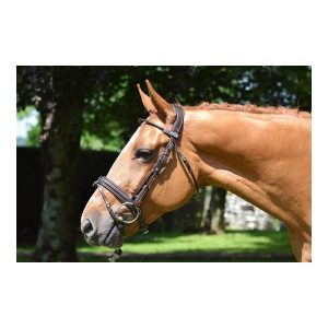 cabezada friday jump´in