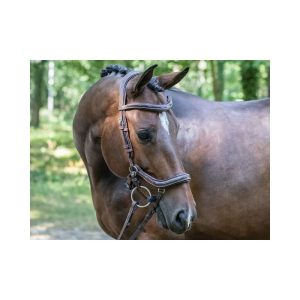 cabezada manhattan jumpin