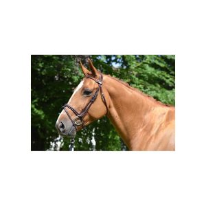 cabezada week monday