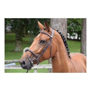 cabezada thursday jump´in