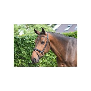 cabezada wednesday jump´in