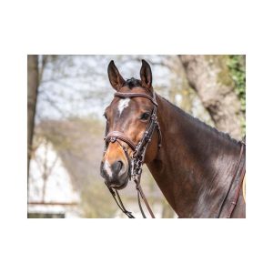 cabezada megevve jumpin