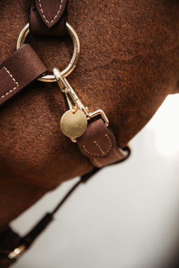 Chapa de identificacion Kentucky - Imagen 4