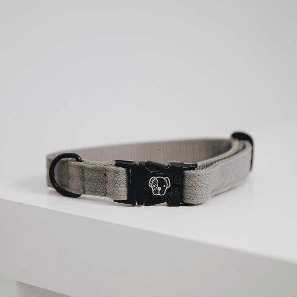 Collar para perros Lizard Kentucky - Imagen 5