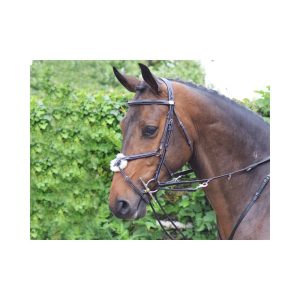 riendas entrenamiento jump´in