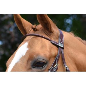 frontalera monday jump´in