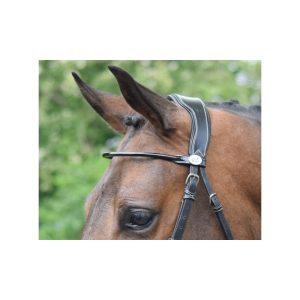 frontalera verno jump´in