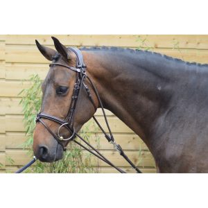 gogue elastic jump´in