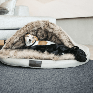 cama iglu para perros kentucky