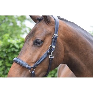 cabezada licol crystal jump´in