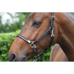 cabezada de pansage jump´in