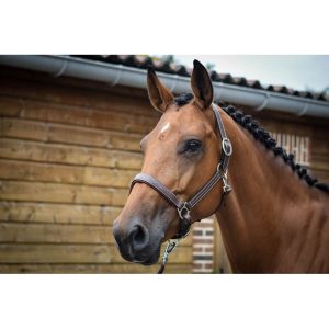 cabezada fancy jump´in