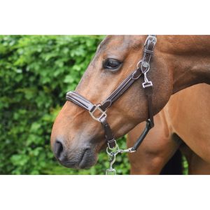 cabezada licol jump´in