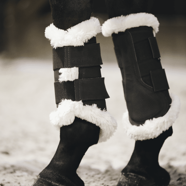 protectores air kentucky