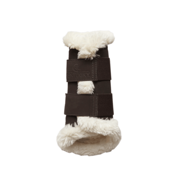 protector air kentucky