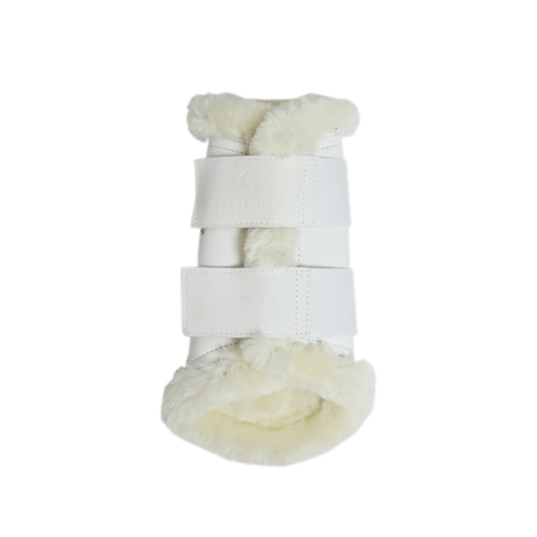 protectores air kentucky