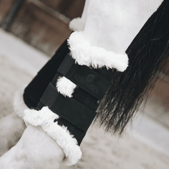 protectores air kentucky