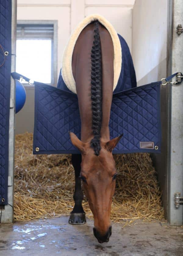 Puerta Box Kentucky - Imagen 5